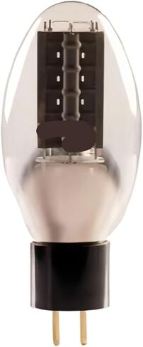 1PCS B-1167 Vacuum Tube Replaces 300B Vacuum Tube in Saudi Arabia