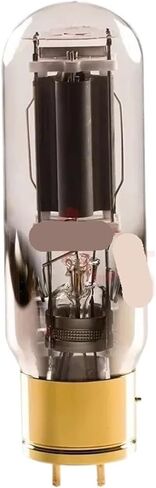 1/2/4PCS 211 805A Vacuum Tube(805A,2PCS) in Saudi Arabia