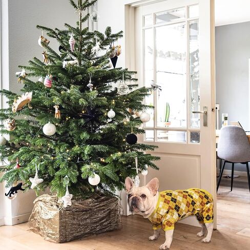 TONY HOBY Dog Sweater, Knitted Warm Dog Winter Shirt for New Year for Small Medium Dog (Blue, Girl, M) in Saudi Arabia