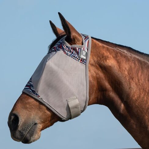 قناع ذبابة Cashel Crusader ، Standard (Pluma ، Arabian) in Kuwait