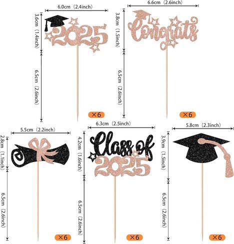 RSSTARXI 24 Pack Prom 2025 Cupcake Toppers Glitter Prom 2025 Graduation Cupcake Picks Class Of 2025 Cake Decorations for 2025 College Graduation Prom Party Decorations Silver in Saudi Arabia