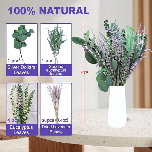 Preserved Dried Eucalyptus Stems Bundle - 12 PCS Blue Eucalyptus for Shower, 17" 100% Natural Eucalyptus Bundle Real Greenery Fresh Leaves Plants, Aromatherapy SPA, Wedding Arrangements, Home Decor in Kuwait