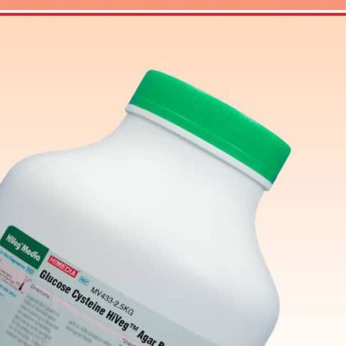 MV433-2.5KG Hiveg Glucose Cysteine Agar Base with Thiamine, 2.5 kg, 1 millimeters Height, 1 millimeters Wide, 1 millimeters Length, Milliliters, Null in Kuwait