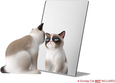 Marketing Holders Acrylic Mirror for Countertops 5" x 7" Free Standing Single Sided Slant Back Self-Portrait Reflective Display in Saudi Arabia
