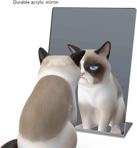 Marketing Holders Acrylic Mirror for Countertops 5" x 7" Free Standing Single Sided Slant Back Self-Portrait Reflective Display in Saudi Arabia