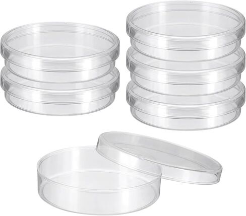 PATIKIL 35mm/1.4 Inch Plastic Petri Dishes with Lids, 6 Pack Petri Plates Tissue Culture Plate for Lab Science Experiment, Clear in Saudi Arabia