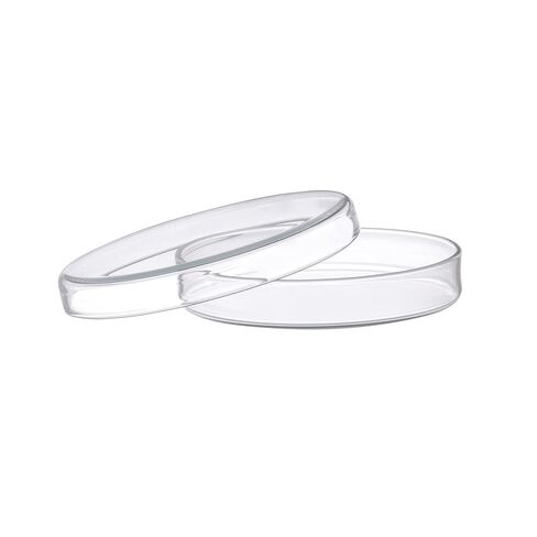EISCO Petri Dish, 8" (200mm) - Beaded Edges - Easy to Sterilize for Repeated Use - Soda Glass in Saudi Arabia
