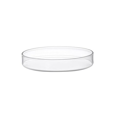 EISCO Petri Dish, 8" (200mm) - Beaded Edges - Easy to Sterilize for Repeated Use - Soda Glass in Saudi Arabia