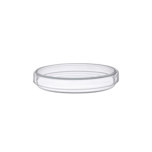 EISCO Petri Dish, 8" (200mm) - Beaded Edges - Easy to Sterilize for Repeated Use - Soda Glass in Saudi Arabia