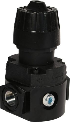 Dixon R16-04R Wilkerson R16 1/2" Compact Regulator Without Gauge 88. SCFM, Metal/Plastic in Saudi Arabia