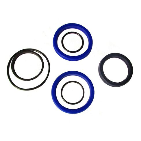 Raparts Lift أو Tilt Hydraulic Seal Kit لـ Dual 3100 Loader 25031 in Kuwait