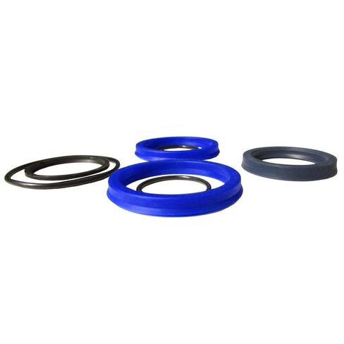 Raparts Lift أو Tilt Hydraulic Seal Kit لـ Dual 3100 Loader 25031 in Kuwait