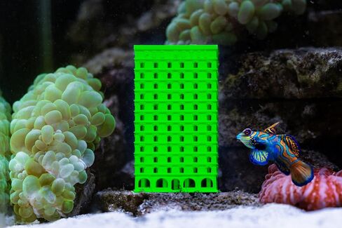 Pod Hotel - 3D Printed Copepod Isopod Amphipod Breeder Box Factory for Saltwater Reef Tank Sump or Refugium, Isopod - 2x2x3.6, White in Kuwait