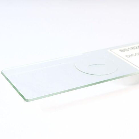 Eisco - Prepared Microscope Slide of Dicot Leaf Cross Section 25x77mm Glass Slide Stained for Plant Structure Observation in Saudi Arabia