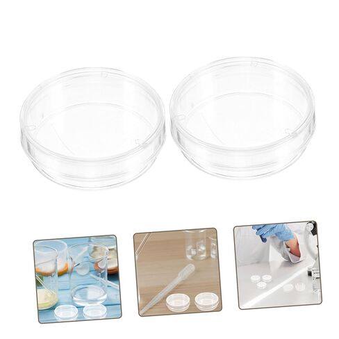 Amosfun 30pcs خلية ثقافة الخلية مختبر Petri Petri Laboratory Petri Tray Cell Cell Certic Petri Dire Actue Cinious Agar Dish Petri Dish Lab Dish Plastic Plastic in Kuwait