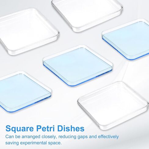 PATIKIL 10cm/3.9 Inch Plastic Petri Dishes with Lids, 2 Pack Square Culture Dish Tissue Culture Plate for Lab Science Experiments, Clear in Saudi Arabia