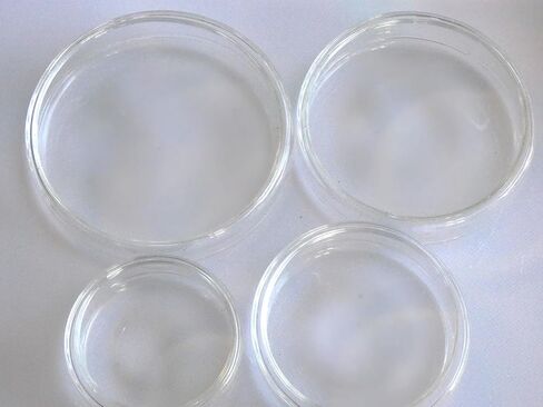Glass Petri Dish, Tissue Culture Plate, Autoclavable Borosilicate Glass, Biology Microbiology Lab Dishes (100 mm, Pack of 3) in Saudi Arabia