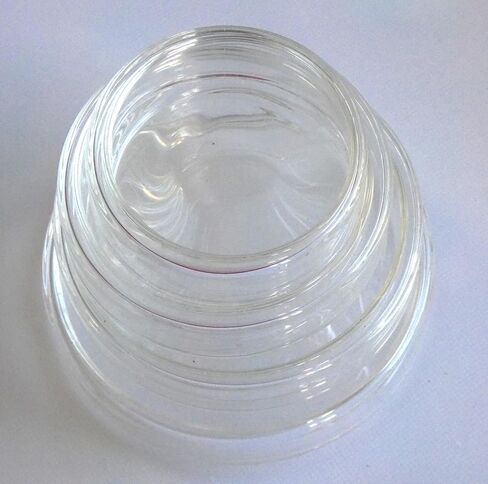 Glass Petri Dish, Tissue Culture Plate, Autoclavable Borosilicate Glass, Biology Microbiology Lab Dishes (100 mm, Pack of 3) in Saudi Arabia