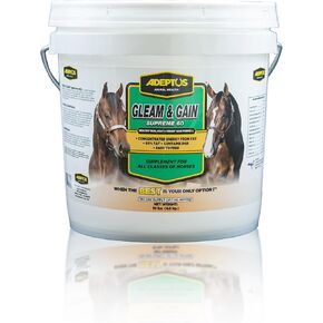 Adeptus Nutrition Gleam و Gain Supreme 60 Eq مكملات المفصل ، 3 رطل/5 × 5 × 9 in Kuwait