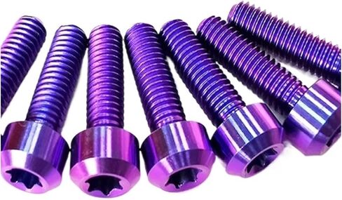 M5/10/15/20/25/30 مم M6/10/15/20/20/35/45/40/55/00/00/00/90/100 مم من بطولة Torx Head Titanium (M6x90 مم) in Saudi Arabia