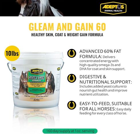 Adeptus Nutrition Gleam و Gain Supreme 60 Eq مكملات المفصل ، 3 رطل/5 × 5 × 9 in Kuwait