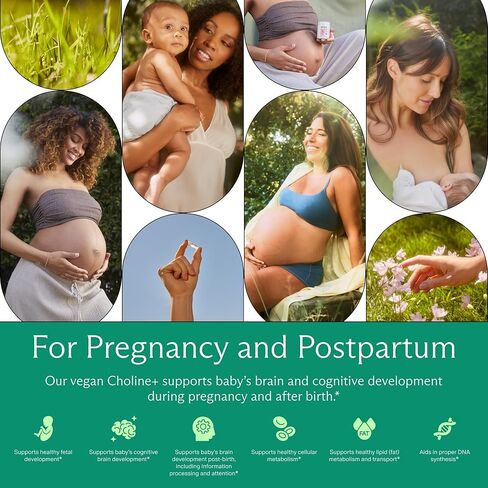 Needed Prenatal Choline - Optimal Prenatal Choline Add On, 250Mg Talc-free Vegan, Filler, Heavy Metals Free, Brain Development in Utero/Early Life, With VitaCholine, Non-GMO, Allergen Free 60 Capsules in Saudi Arabia