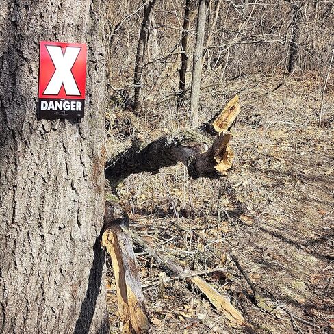 Pro Class Arrows Race Course Marker ؛ 150 حزمة 8 "x5" in Kuwait