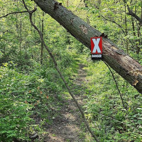 Pro Class Arrows Race Course Marker ؛ 150 حزمة 8 "x5" in Kuwait