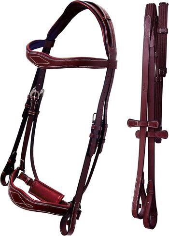 Exion Horse Dressage Bridle with Web Reins | Broad Anatomic Crownpiece, Crank Noseband & Browband & Reins with Hand Stoppers | Dressage Bridles for Horses in Saudi Arabia