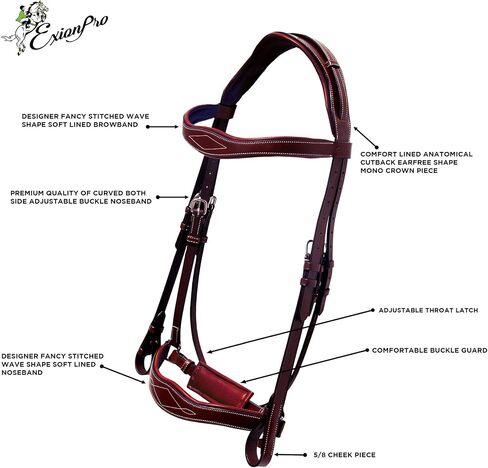 Exion Horse Dressage Bridle with Web Reins | Broad Anatomic Crownpiece, Crank Noseband & Browband & Reins with Hand Stoppers | Dressage Bridles for Horses in Saudi Arabia