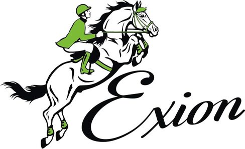 Exion Horse Dressage Bridle with Web Reins | Broad Anatomic Crownpiece, Crank Noseband & Browband & Reins with Hand Stoppers | Dressage Bridles for Horses in Saudi Arabia