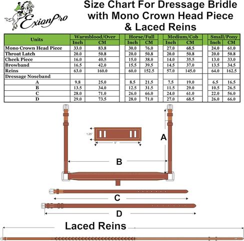 Exion Horse Dressage Bridle with Web Reins | Broad Anatomic Crownpiece, Crank Noseband & Browband & Reins with Hand Stoppers | Dressage Bridles for Horses in Saudi Arabia