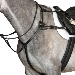 5 نقاط صدرية الرابعة ، بنية ، كاملة in Kuwait