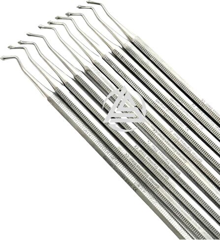 Acorn Burnisher #21 Dental Composite Filler Tool Amalgam Pusher Restorative Dental Tool - German Stainless Steel CE (2) in Saudi Arabia
