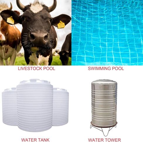 3/4 "الذكور مدونة جنب مدخل 304 الصلب المصغر الصلب المصغر in Kuwait