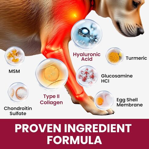 Liquid Joint Supplement for Dogs & Cats, Glucosamine for Dogs with Hyaluronic Acid, Daily Dog Hip & Joint Drops with Chondroitin & MSM, Wuffe Joint Supplement for Pain Relief, Mobility Support - 60ml in Saudi Arabia