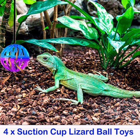5 Pcs Breaded Dragon Toys Set Balls Bell Reptile Feeder Toy Lizard Feed Balls Enrichment Toy Habitat Terrarium Tank Accessories Interactive Toy for Bearded Dragon Gecko Small Animals in Saudi Arabia