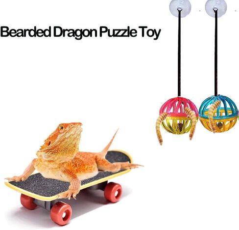 5 Pcs Breaded Dragon Toys Set Balls Bell Reptile Feeder Toy Lizard Feed Balls Enrichment Toy Habitat Terrarium Tank Accessories Interactive Toy for Bearded Dragon Gecko Small Animals in Saudi Arabia
