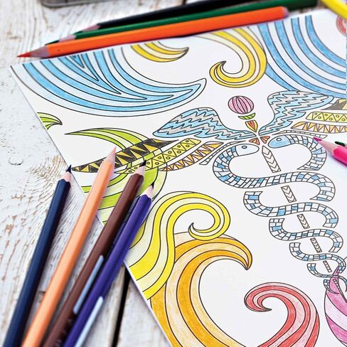 Nurse Themed Coloring Pages | Pack of 10 Different Designs for Pencil or Marker Coloring | 8.5" x 11" Standard Size – Easy to Frame | Heavy Cardstock | Makes a Great Gift in Kuwait