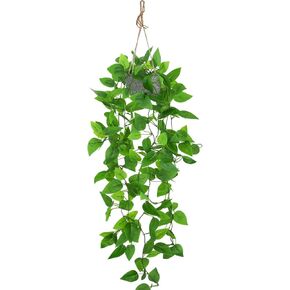 ZIFTY 3 قطع نباتات معلقة وهمية صناعية مزيفة بوعاء أخضر صناعي من الأوكالبتوس كرمة ماندالا لجدار المنزل وغرفة المكتب والديكور الداخلي والخارجي in Kuwait