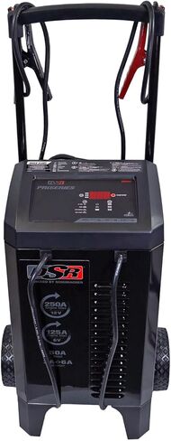 DSR131-250 أمبير (12 فولت) 125 أمبير (6 فولت) 50 أمبير 6 فولت/12 فولت برو شاحن بطارية السيارة الذكية - شاحن بطارية تلقائي بالكامل، صيانة البطارية وشاحن سيارة محمول للموزع + استخدام المتجر in Saudi Arabia