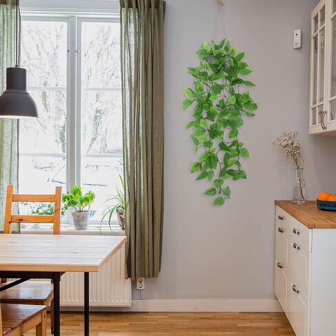 ZIFTY 3 قطع نباتات معلقة وهمية صناعية مزيفة بوعاء أخضر صناعي من الأوكالبتوس كرمة ماندالا لجدار المنزل وغرفة المكتب والديكور الداخلي والخارجي in Kuwait