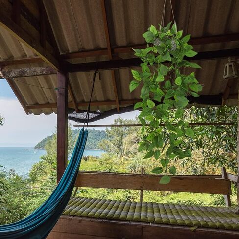 ZIFTY 3 قطع نباتات معلقة وهمية صناعية مزيفة بوعاء أخضر صناعي من الأوكالبتوس كرمة ماندالا لجدار المنزل وغرفة المكتب والديكور الداخلي والخارجي in Kuwait