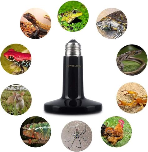 AOMRYOM 150W Ceramic Heat Emitter Infrared Reptile Heat Lamp Bulb for Lizard Snake Coop Chicken Tortoise Aquarium Pet Brooder - 24hr Heat Source - No Light Emitted No Harm - Black 2 Pack in Saudi Arabia