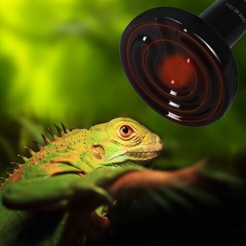 OMAYKEY 150W 2 Pack Ceramic Heat Lamp, Upgraded Thicker Infrared Reptile Heat Emitter Heater Lamp Bulb for Pet Brooder Coop Chicken Lizard Turtle Snake Aquarium, No Light No Harm, 24hr Heat Source in Saudi Arabia