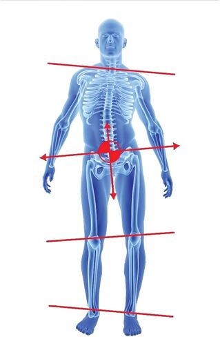 نعال داعمة لتقويم القدم البلاتينية من WalkFit لالتهاب اللفافة الأخمصية وتخفيف آلام القدم والورك والساق والركبة وتحسين محاذاة التوازن أكثر من 25 مليون بيع (الرجال 10-10.5 / النساء 11-11.5) in Kuwait
