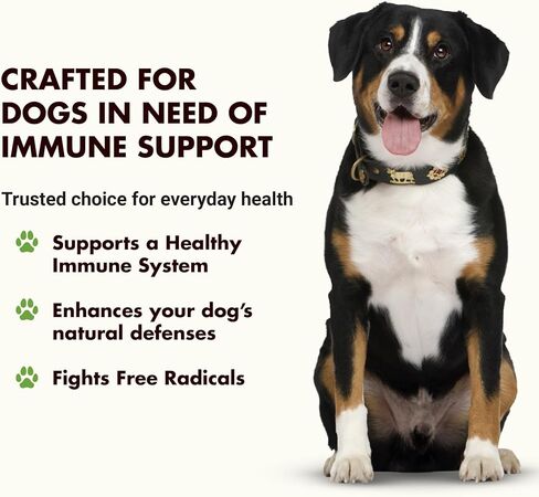 Immune Support for Dogs – Antioxidant Protection & Gut Health – Inulin, Beta-Glucan & Omega-3s / Fish Oil & More! - Made for Picky Eaters in Kuwait