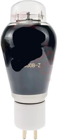 1/2/4pcs 300b-z أنابيب فراغ (4 قطعة 300B-Z) in Saudi Arabia