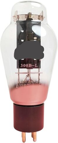 1/2/4PCS 300B-L أنبوب فراغ (4pcs) in Saudi Arabia
