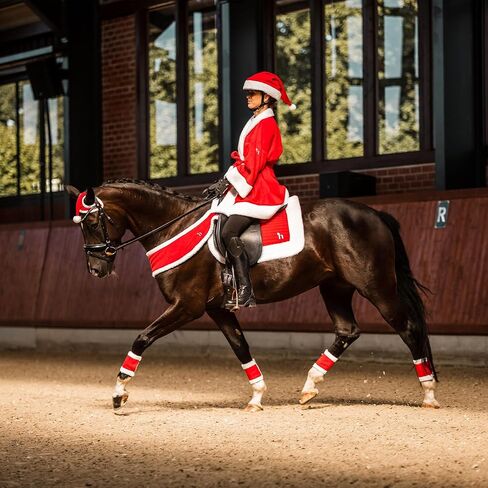 Horze Christmas Santa Cap | غطاء الرسن من الحصان الزليح مع تقليم الصوف - أحمر - مقاس واحد in Saudi Arabia